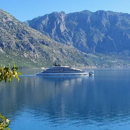 Appartement Magnolia Adriatic à Kotor Extérieur photo